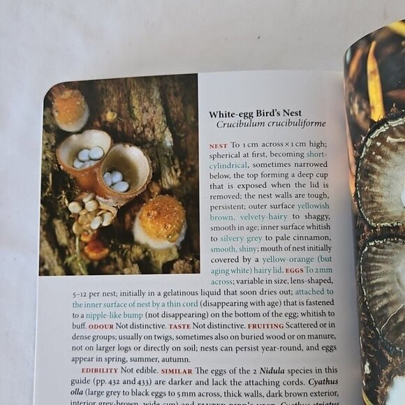 Mushrooms of British Columbia Field Guide Identification Handbook MacKinnon Andy - Picture 15 of 16